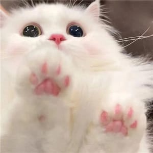 Ảnh đại diện Phương Thảo